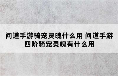 问道手游骑宠灵魄什么用 问道手游四阶骑宠灵魄有什么用